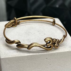 Alex and Ani Ohm bracelet